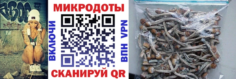 купить закладку кракен рабочий сайт Галлюциногенные грибы Cubensis Елец